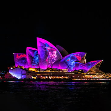 Watch the amazing 3D light projections from a Vivid cruise